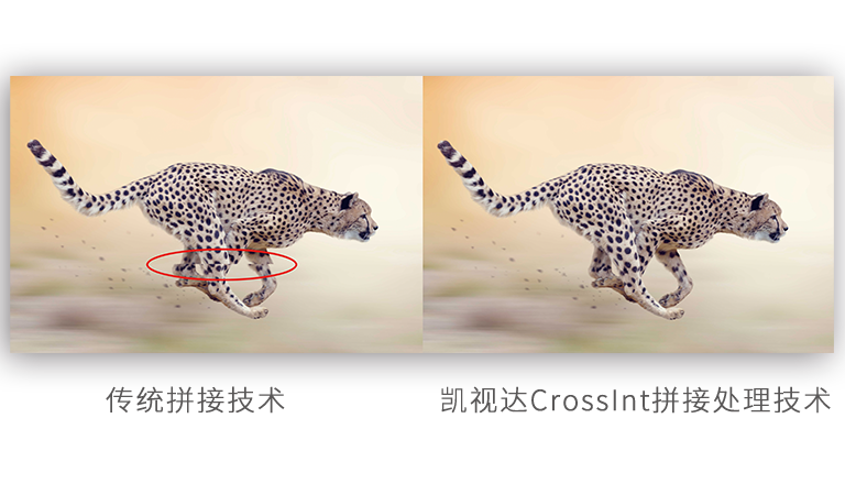 扑睿德州·(中国区)官方网站